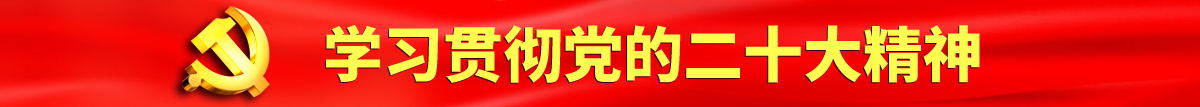 我操日本逼认真学习贯彻落实党的二十大会议精神